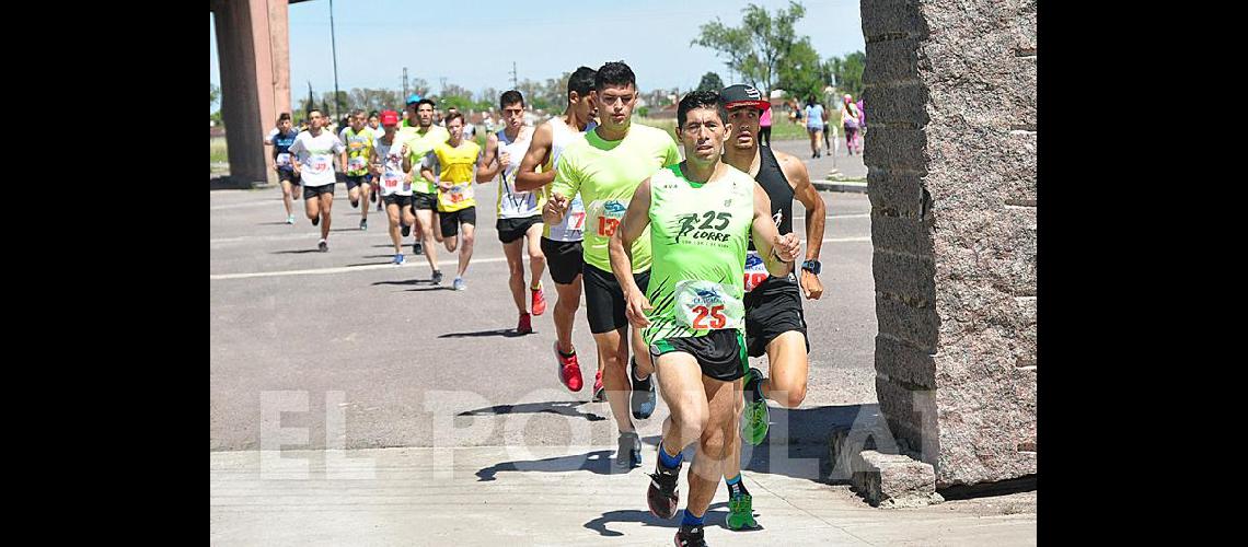 Las imaacutegenes de la Correcaminata