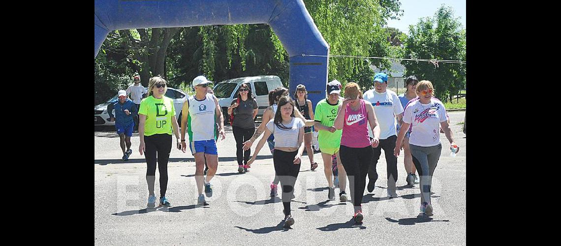 Las imaacutegenes de la Correcaminata