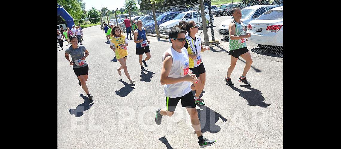 Las imaacutegenes de la Correcaminata