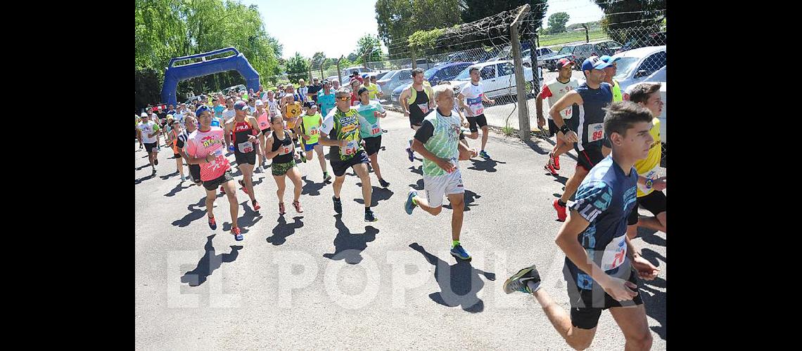 Las imaacutegenes de la Correcaminata