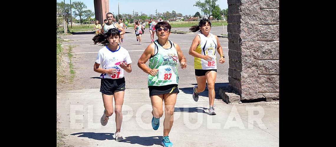 Las imaacutegenes de la Correcaminata