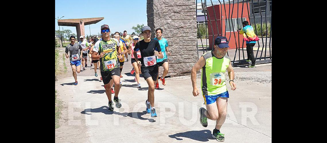 Las imaacutegenes de la Correcaminata