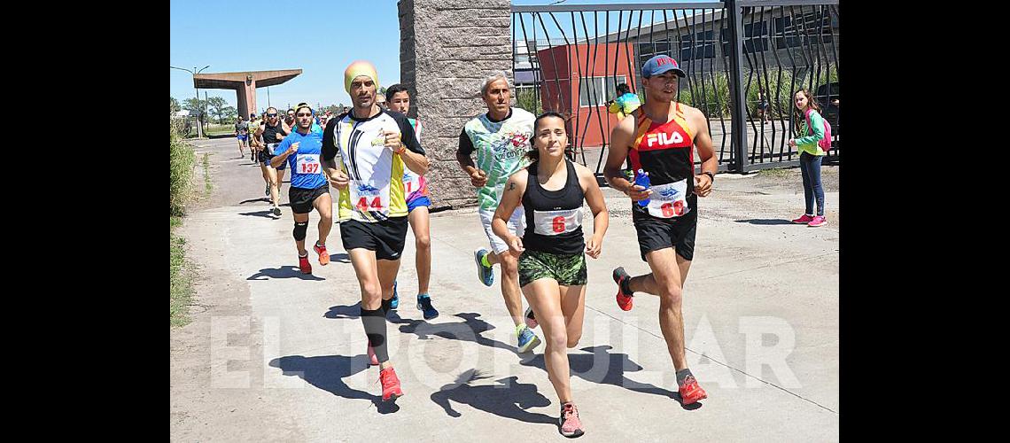 Las imaacutegenes de la Correcaminata