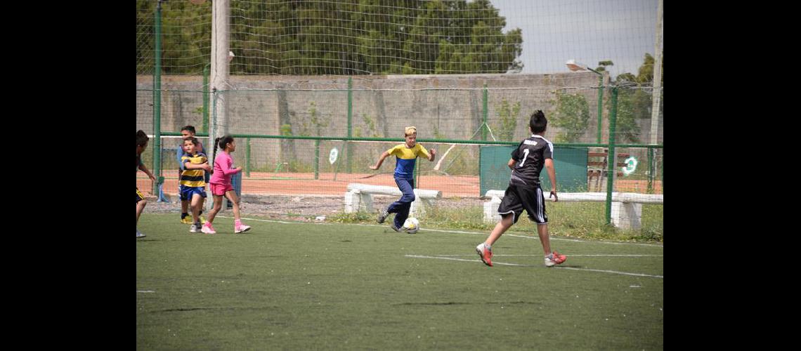 Maacutes de 800 chicos disfrutaron del fuacutetbol