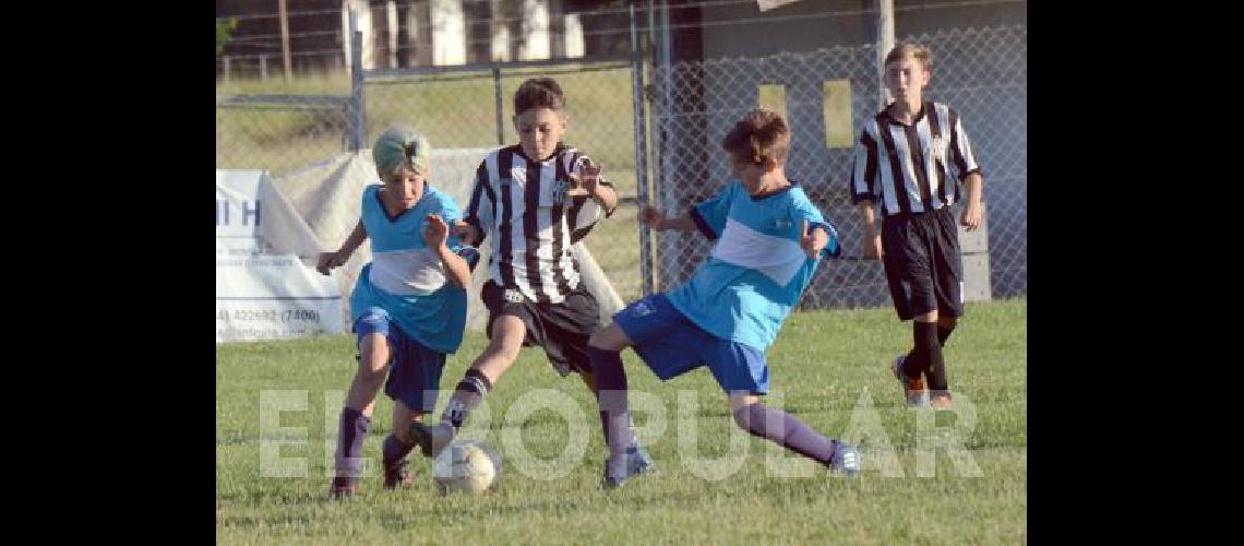 El torneo para las categorÃ­as 2007 y 2009 es organizado por Embajadores 