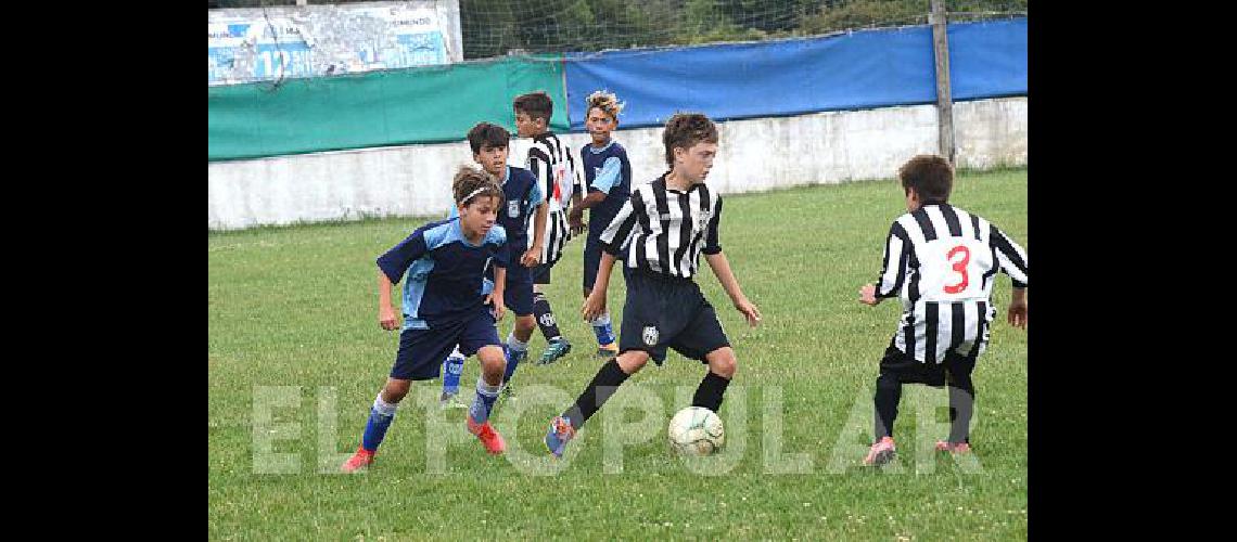 Lifipa le ganÃ³ 3-0 a Alumni de Azul la final de la categorÃ­a 2007 