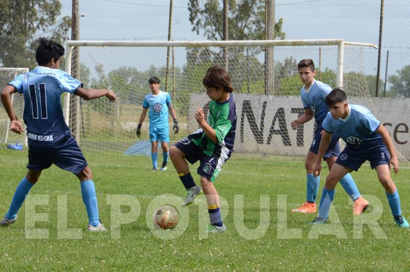 Poleacutemica en divisiones inferiores