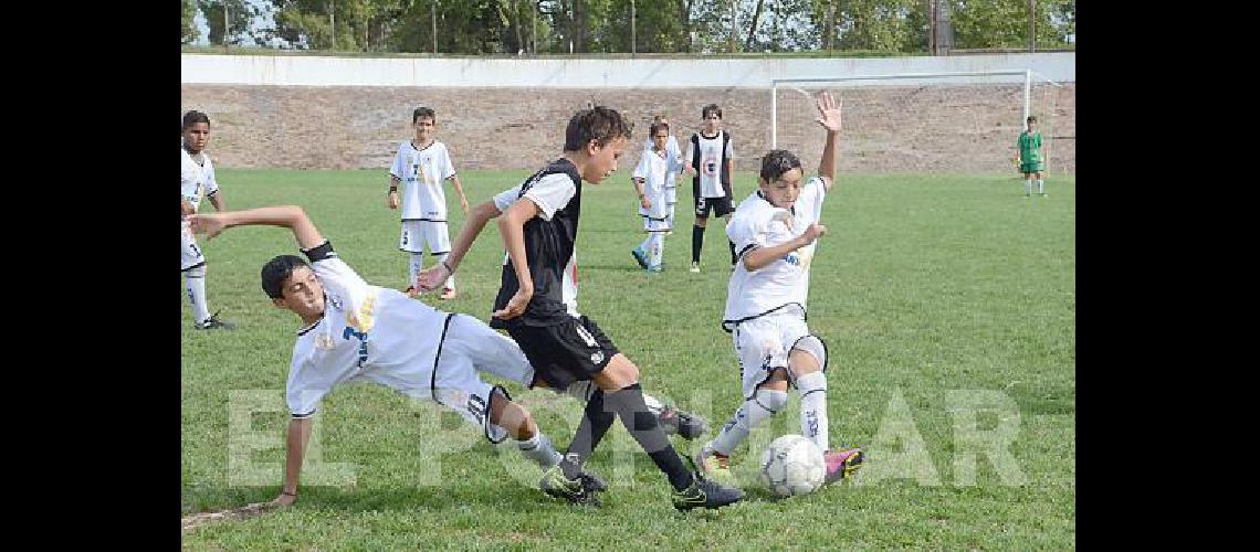 El torneo de fÃºtbol se jugarÃ en Estudiantes su sede central 