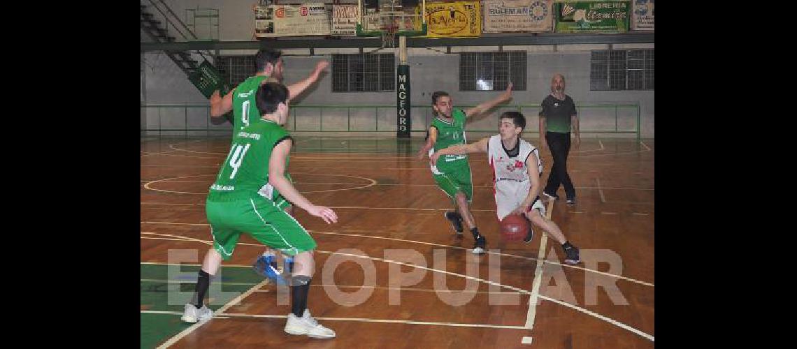 El equipo Albiverde se armarÃ para jugar en Primera DivisiÃ³n con gran protagonismo 