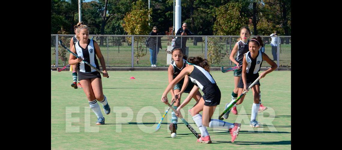 Estudiantes vuelve al ruedo