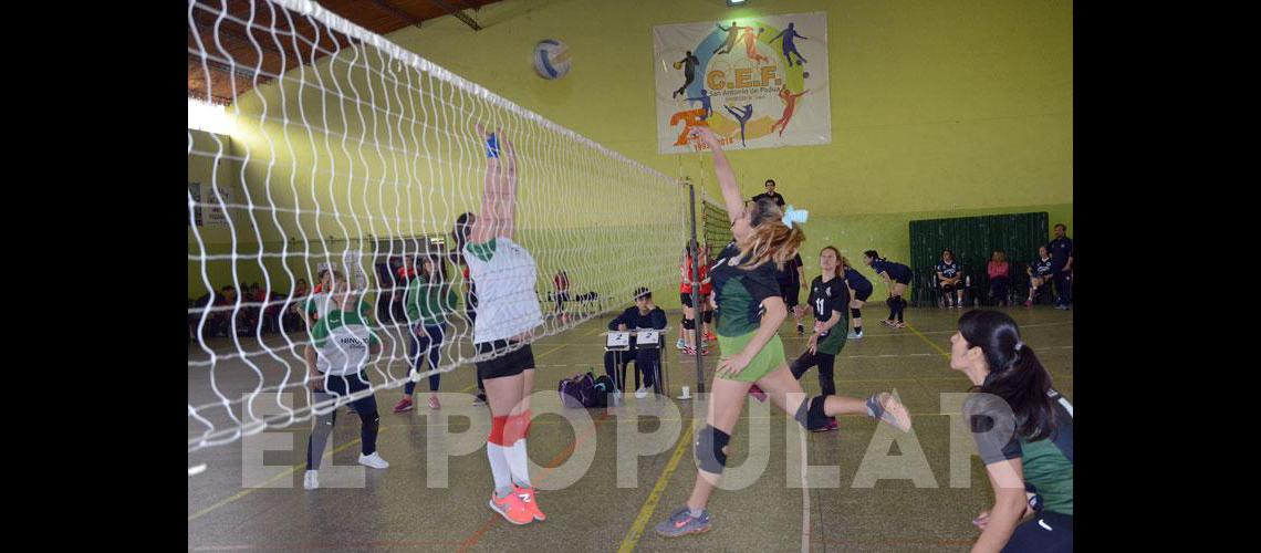 El Maxi Voley <br>llega al Parque