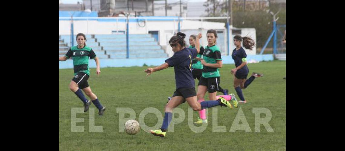 Se terminÃ³ la primera parte del torneo Apertura 