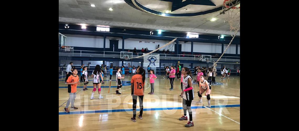 Encuentro de Minivoacuteleibol en Racing