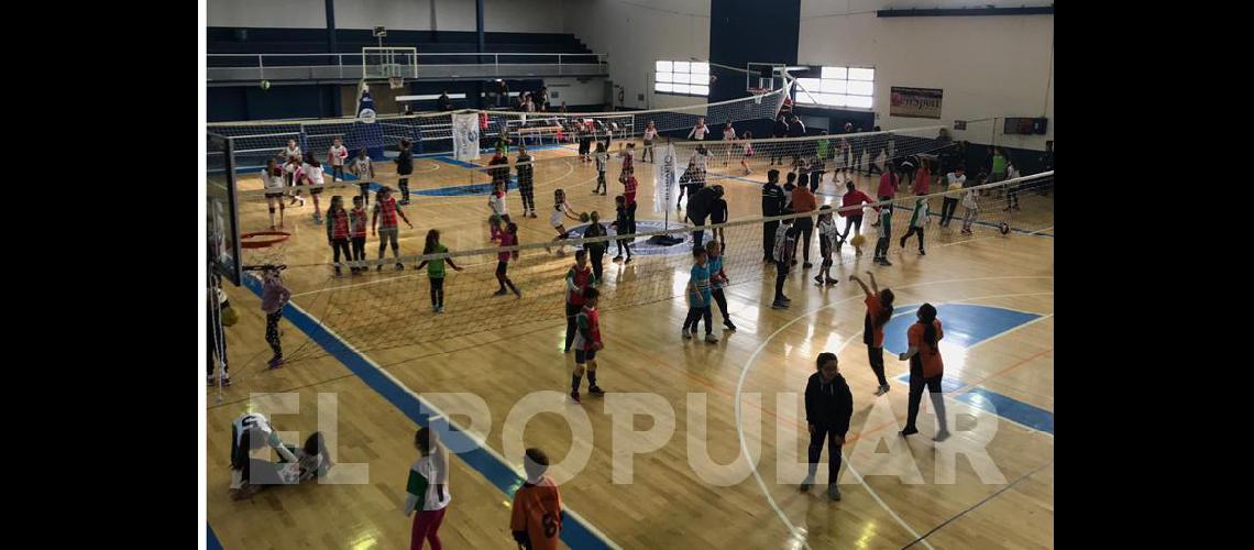 Encuentro de Minivoacuteleibol en Racing