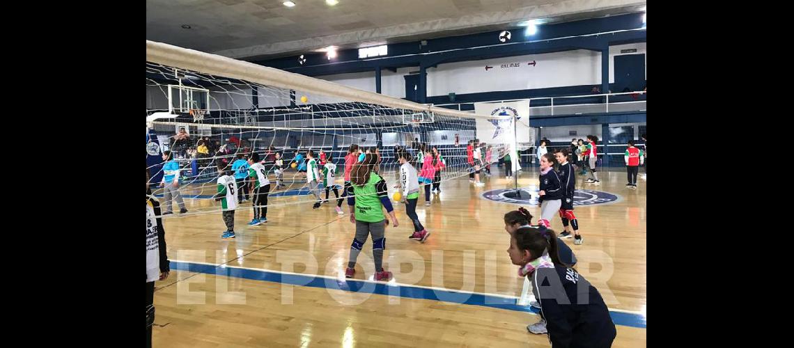 Encuentro de Minivoacuteleibol en Racing