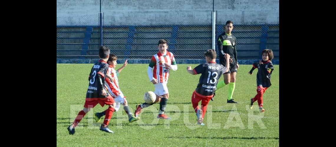 Estaacuten los clasificados a cuartos