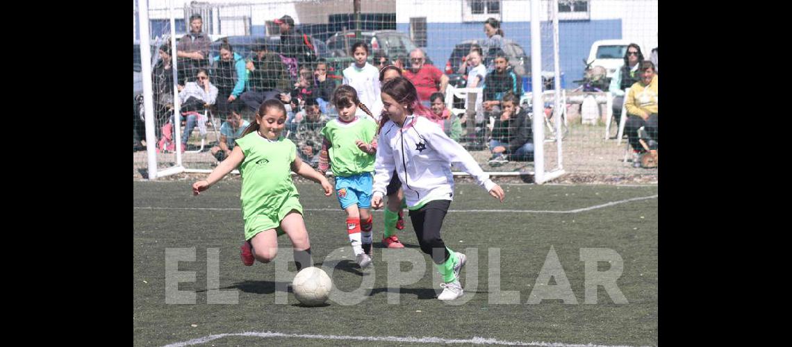 Encuentro de escuelas