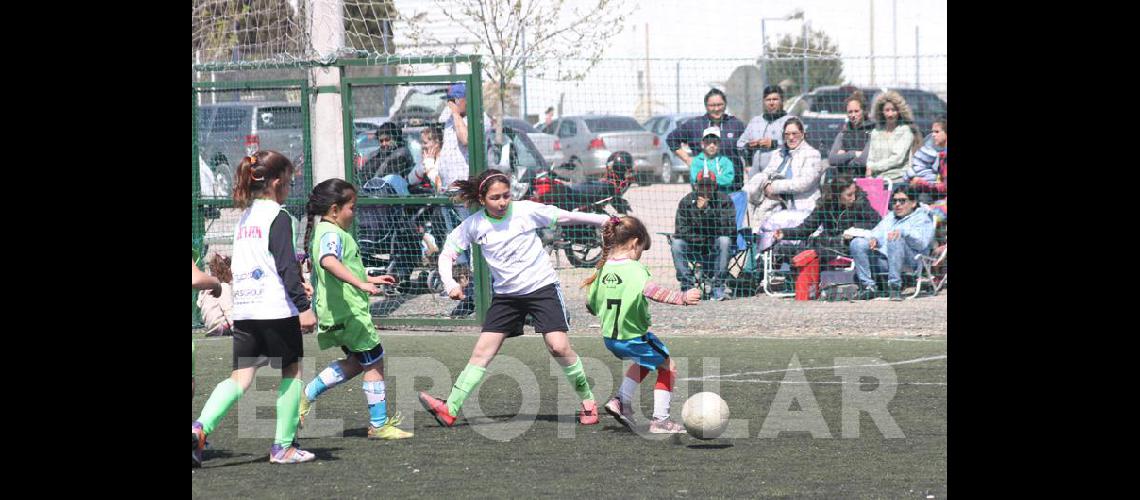 Encuentro de escuelas