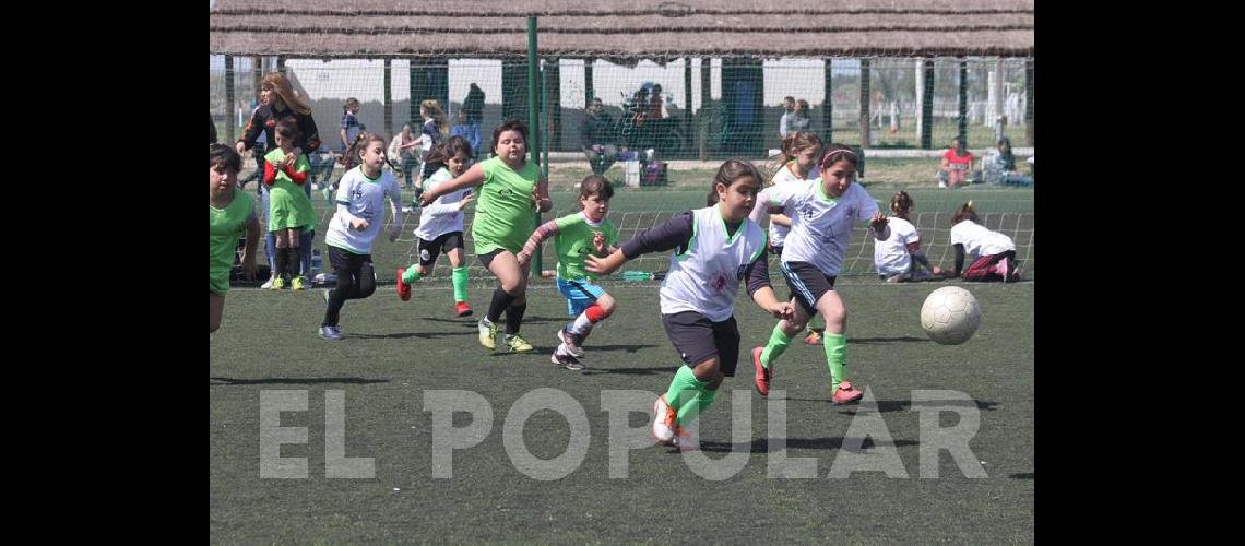 Encuentro de escuelas