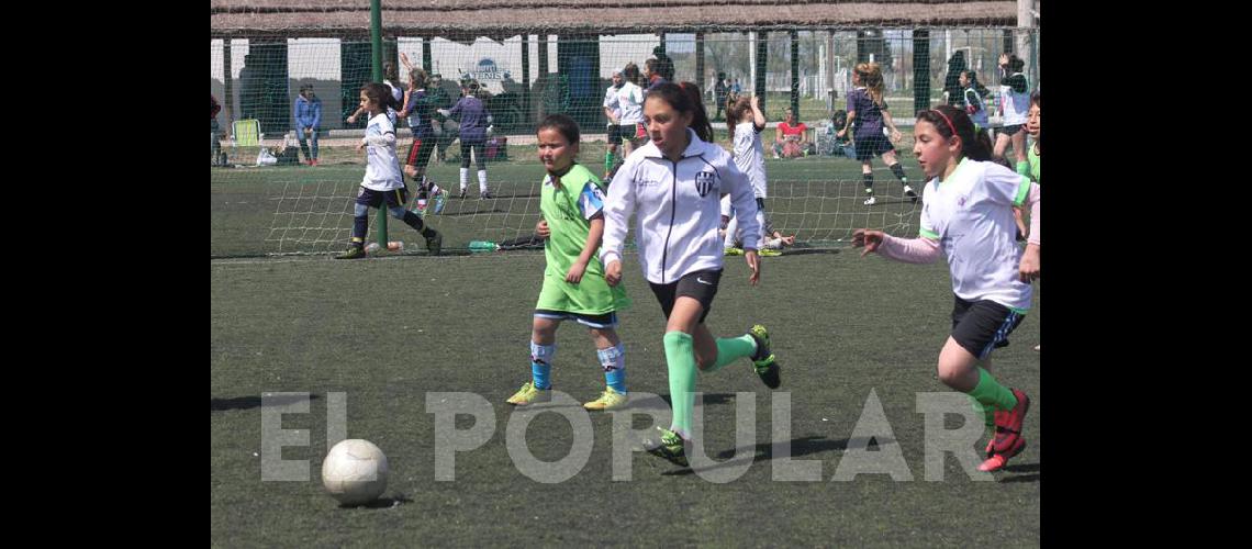 Encuentro de escuelas