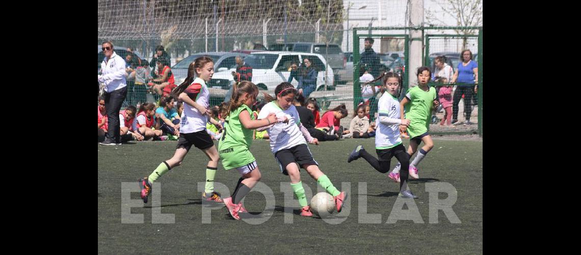 Encuentro de escuelas