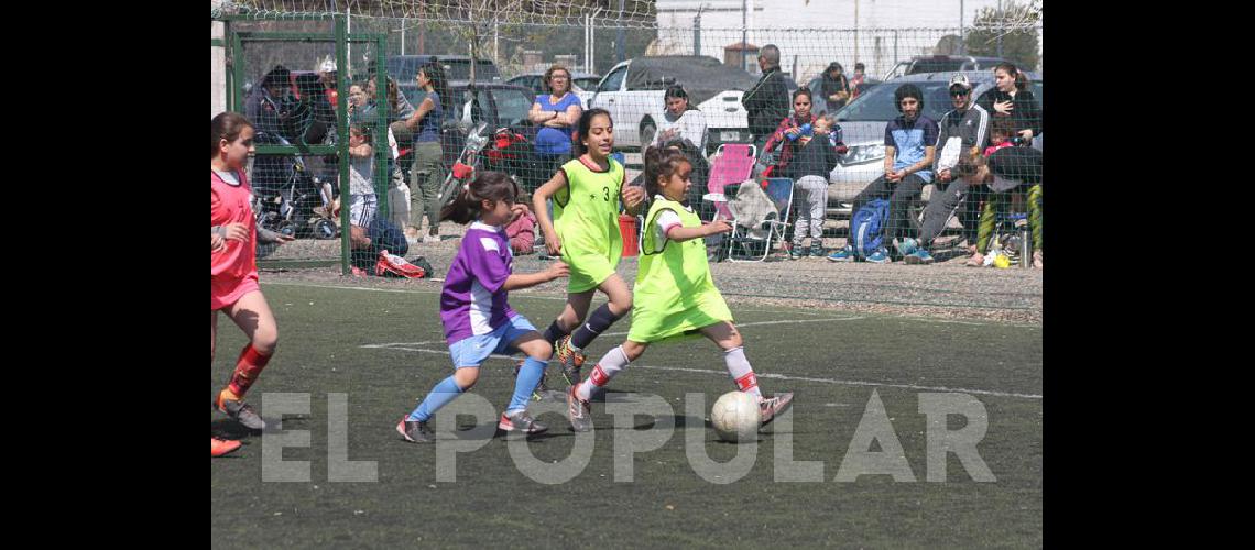 Encuentro de escuelas