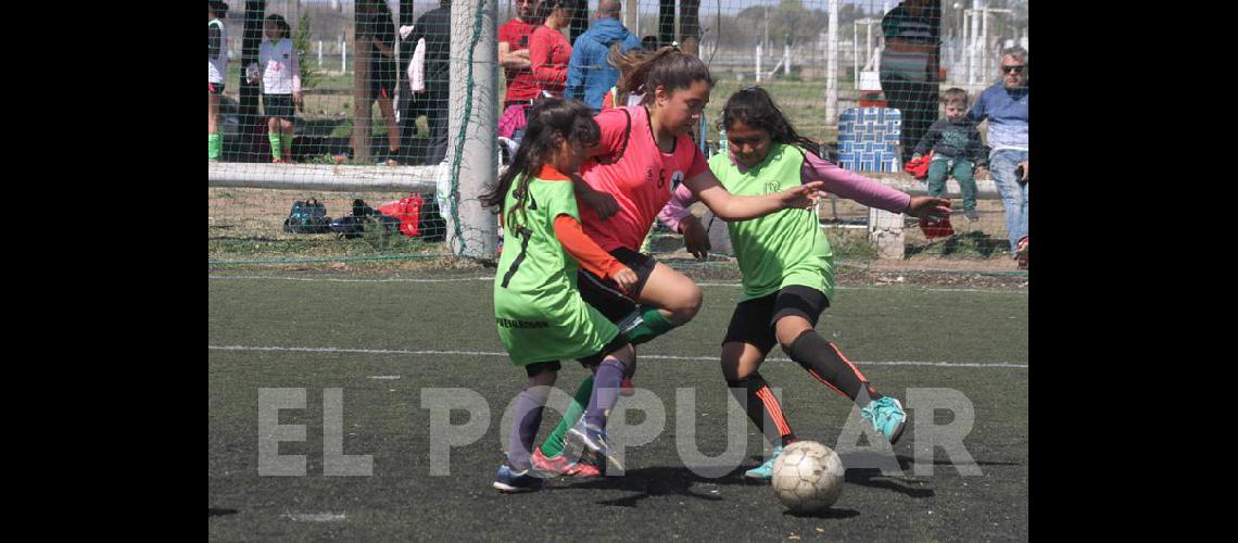 Encuentro de escuelas