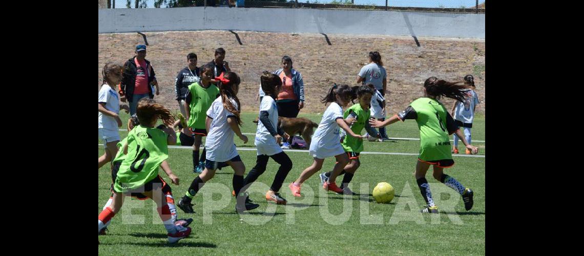 Estudiantes sede del encuentro