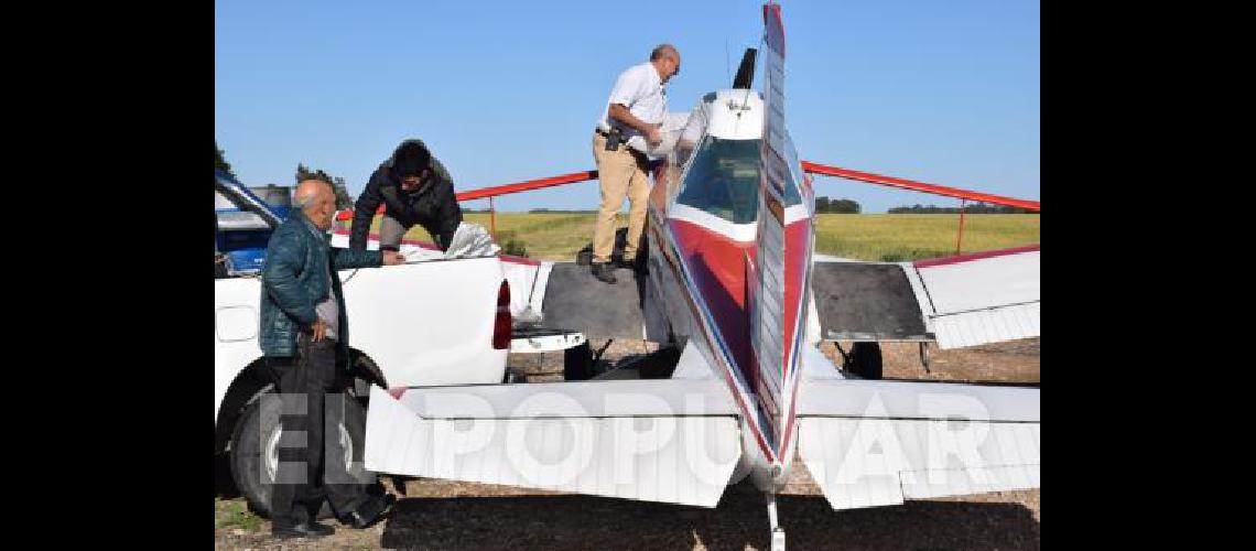 Se fumigaron 100 hectÃ�reas en la zona de Tres Cardos con un producto elaborado por Sanidad Vegetal de la provincia 