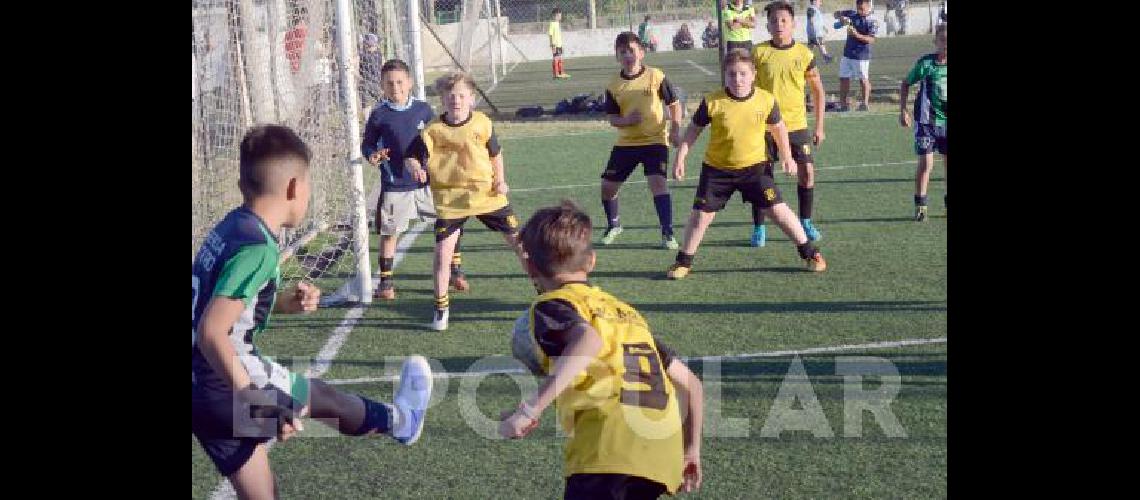 En las canchas sintÃ©ticas se juegan los partidos de 2010 