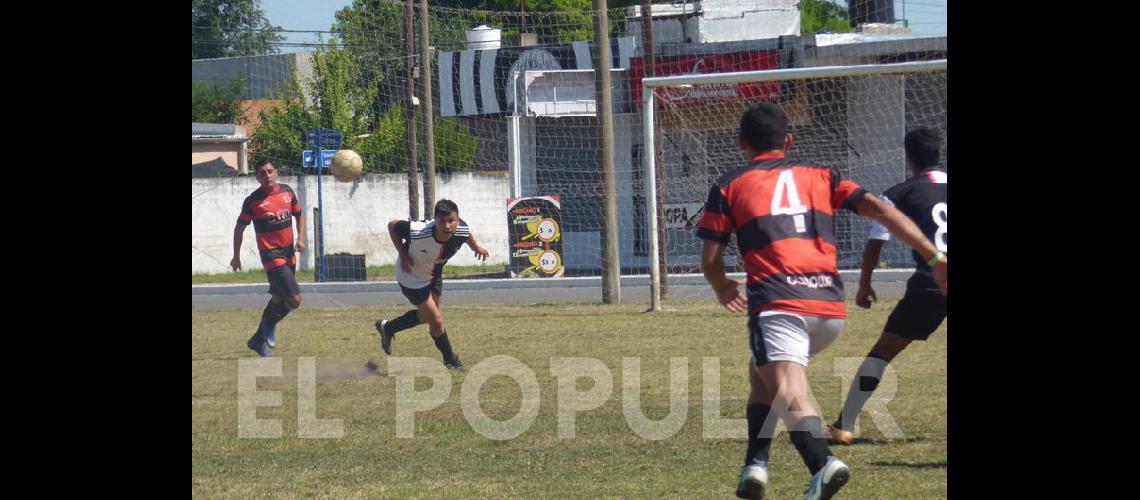 Dourtmund uacutenico puntero