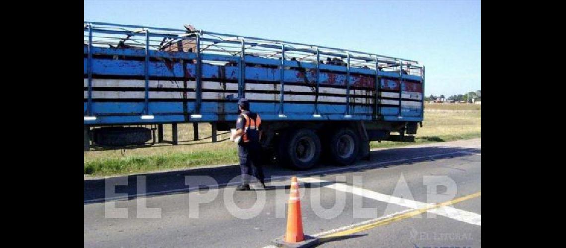 Ascendieron a quince efectivos lapridenses en la Policiacutea de la Provincia de Buenos Aires