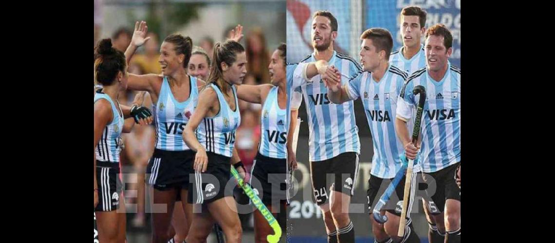 Leones y Leonas deberaacuten esperar