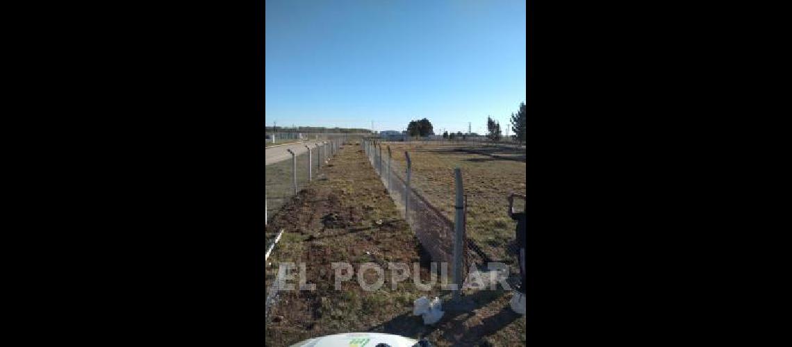 Avanzan los trabajos en el predio del SIP para instalar allÃ­ el cultivo de cannabis 