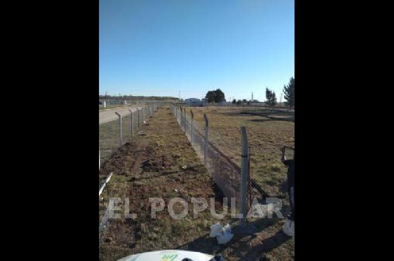 Avanzan los trabajos en el predio del SIP para instalar allÃ­ el cultivo de cannabis 