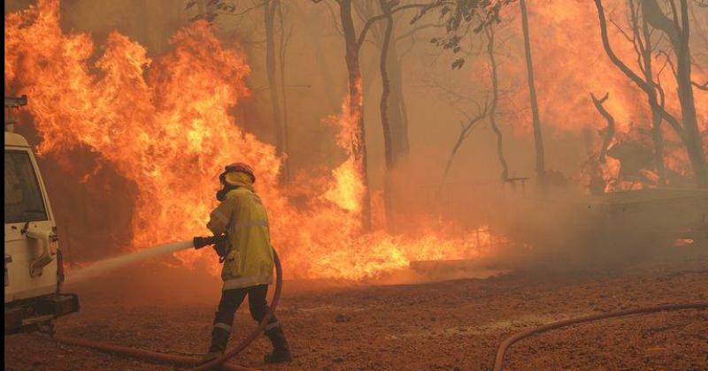 Australia- Un incendio forestal destruyoacute maacutes de 70 casas