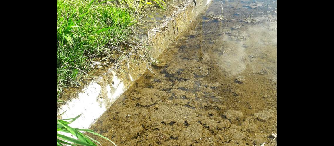 Reclamo por una peacuterdida de agua en barrio Los Robles