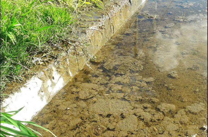 Reclamo por una peacuterdida de agua en barrio Los Robles