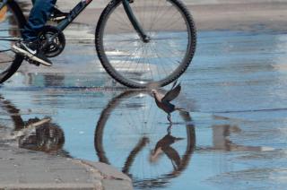 La m�xima prevista para hoy es de 33ºC