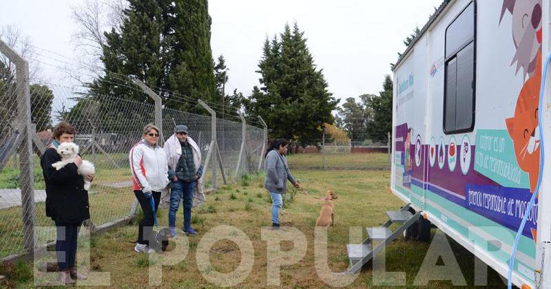 En un antildeo bromatologiacutea realizoacute maacutes de 6000 esterilizaciones 