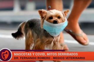 Los animales ya tienen vacuna contra el Covid