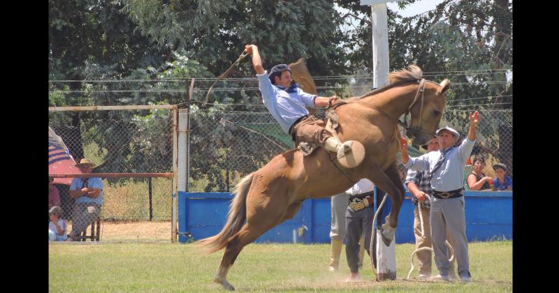 Los jinetes y los caballos se llevaron todos los aplausos del público