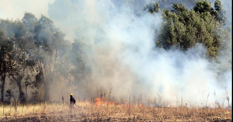 Hubo incendios en Olavarría San Jacinto y Sierras Bayas