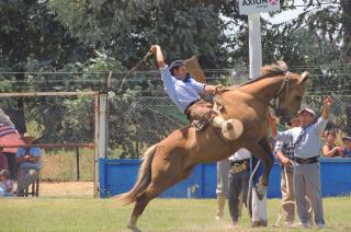 Los jinetes y los caballos se llevaron todos los aplausos del público