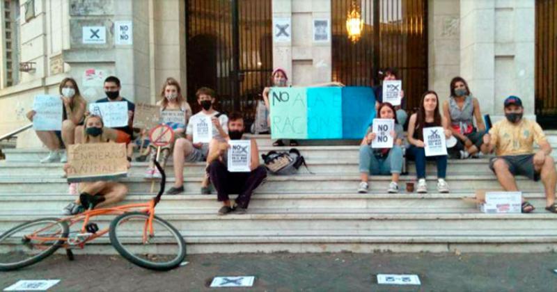 Arde el bosque un grupo de activistas olavarrienses