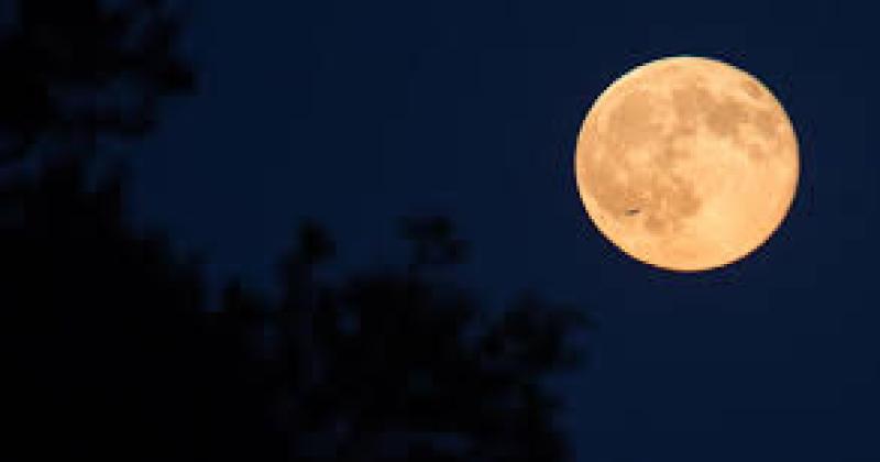 Luna de Lobos 2022- la primera luna llena naranja del antildeo