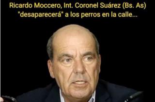 El intendente de Coronel Su�rez Ricardo Moccero amenazó con la vuelta de la perrera