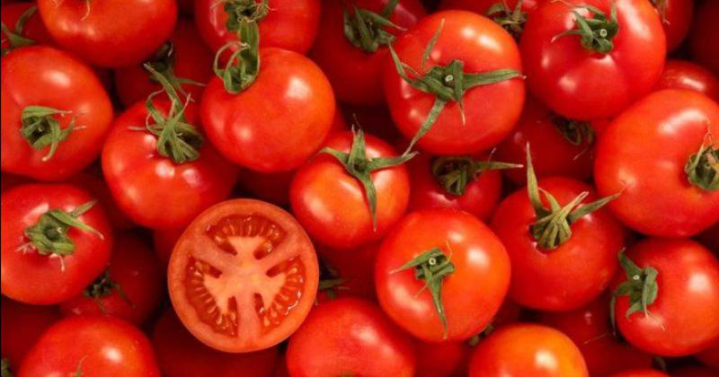 En los últimos días se registró un fuerte aumento del precio del tomate