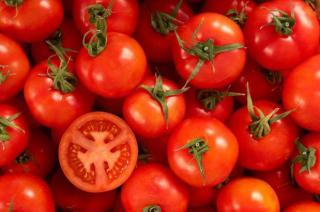 En los últimos días se registró un fuerte aumento del precio del tomate