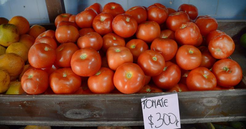 Verdulerías locales informaron los movimientos de precios que fue registrando el tomate